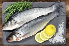 Fresh Whole Bronzini - 600-800 Grams each,3lb, 6lb